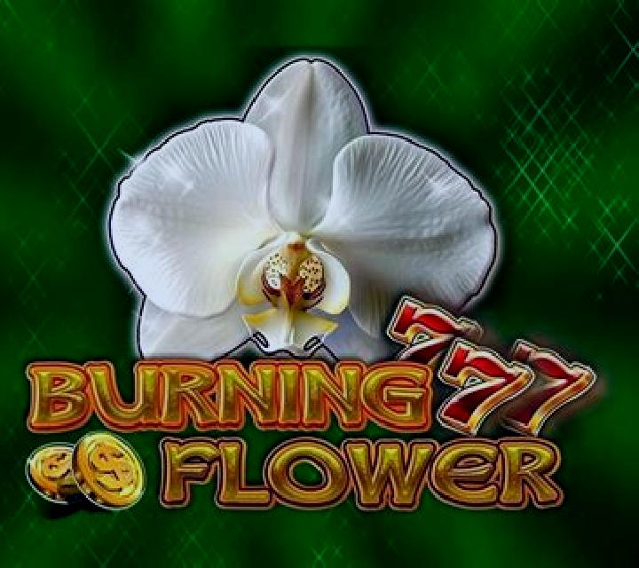Burning Flower online slot