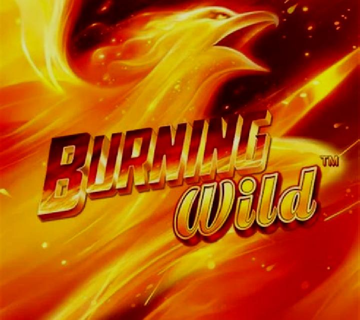 Burning WILD (Greentube) slot machine
