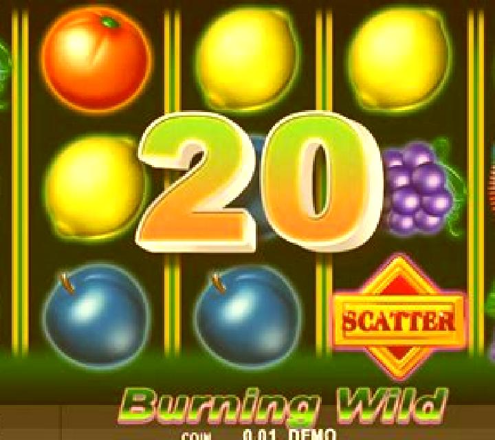 Burning Wild (Spinthon) online slot