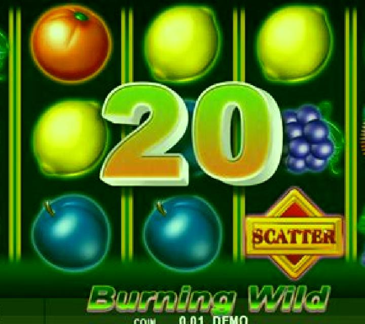 Burning Wild (Spinthon) slot machine