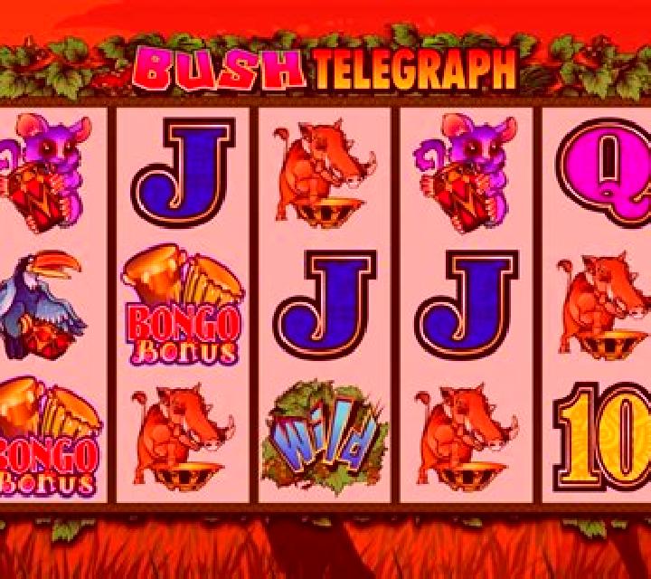 Bush Telegraph online slot
