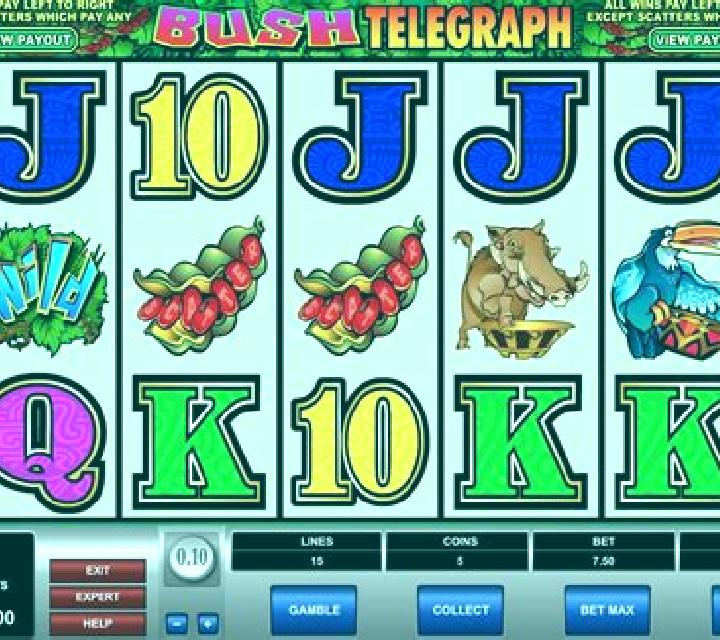 Bush Telegraph slot game