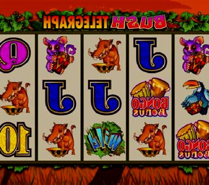 Bush Telegraph slot