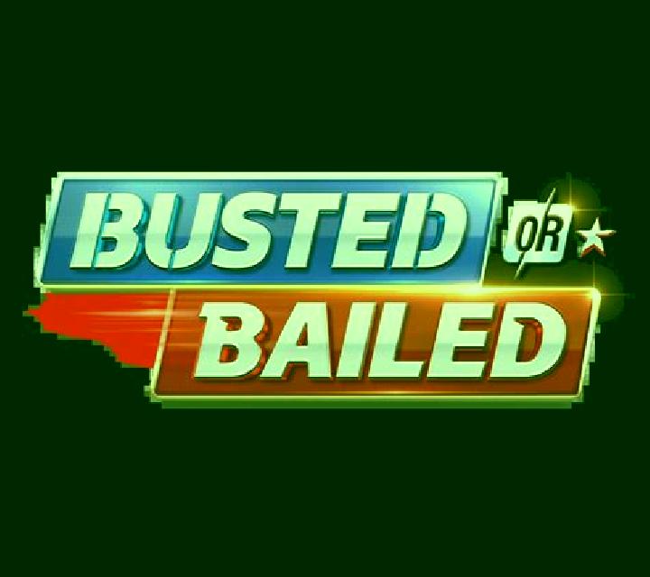 Busted or Bailed slot