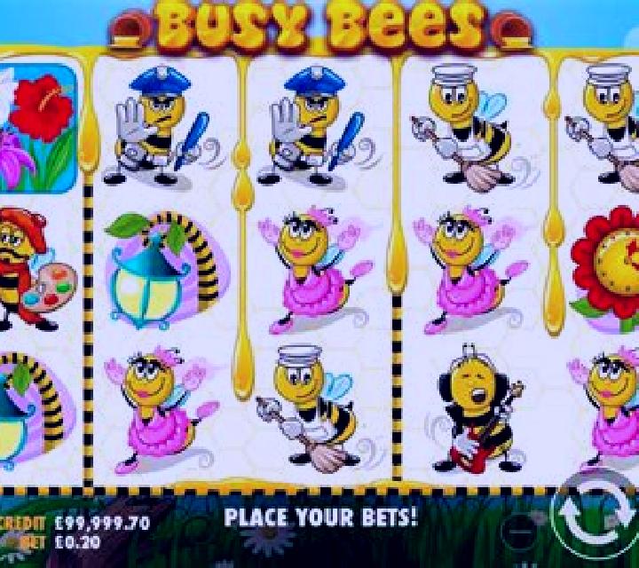 Busy Bees slot
