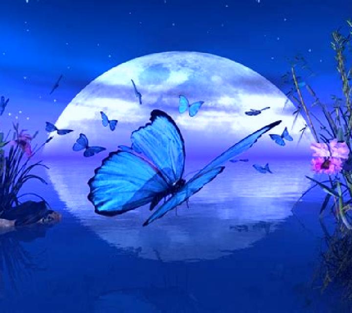 Butterfly Moon online slot