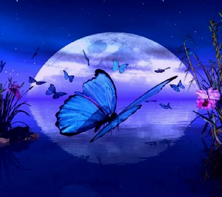 Butterfly Moon slot