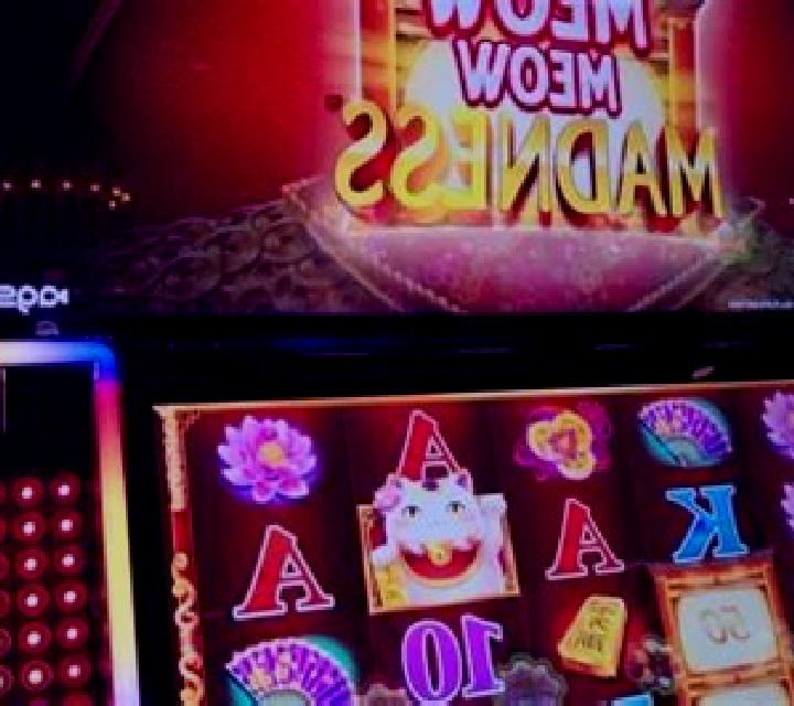 Cafe Meow slot machine