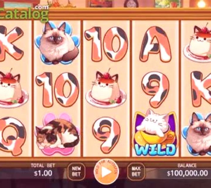 Cafe Meow slot