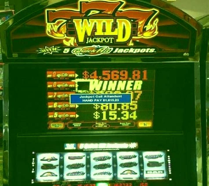 Camel Crash slot machine