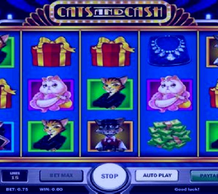 Candy Cats and Cash slot machine