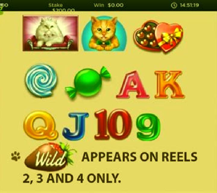 Candy Cats and Cash slot
