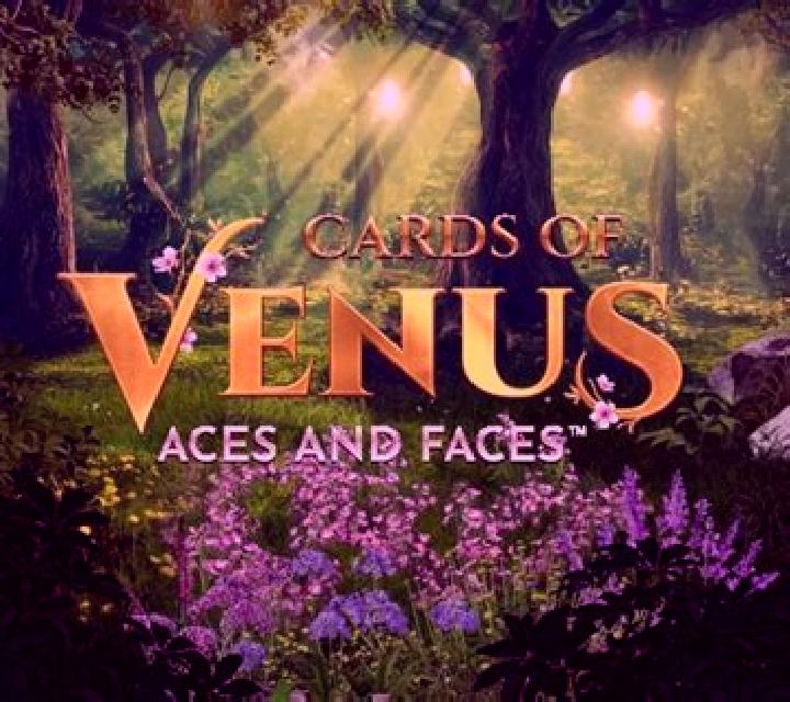 Cards of Venus Aces and Faces slot