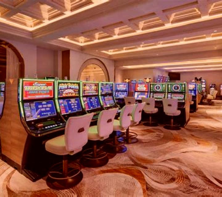 Caribbean Stud Professional Series Low Limit slot machine