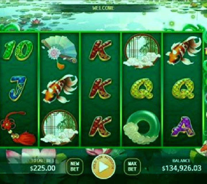 Carp Princess online slot