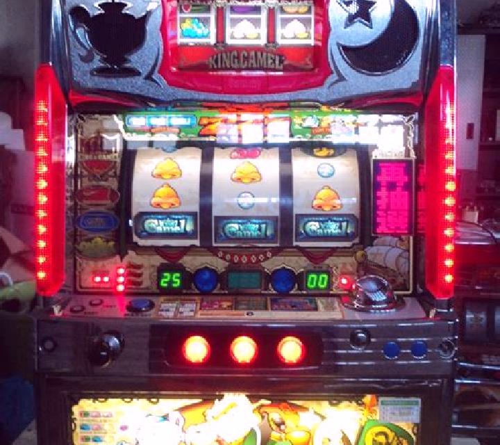 Cash & Camels slot game
