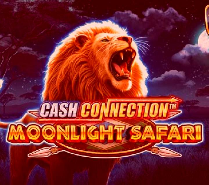 Cash Connection - Moonlight Safari slot