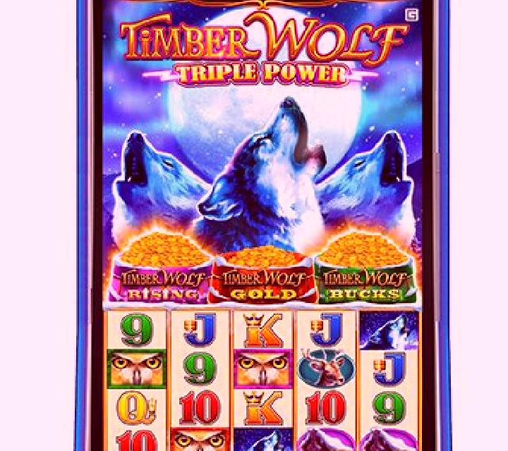 Cash Express Luxury Line Timber Wolf slot machine