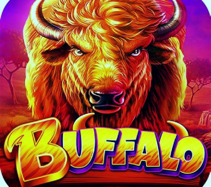 Casino Bull Bull KX slot game