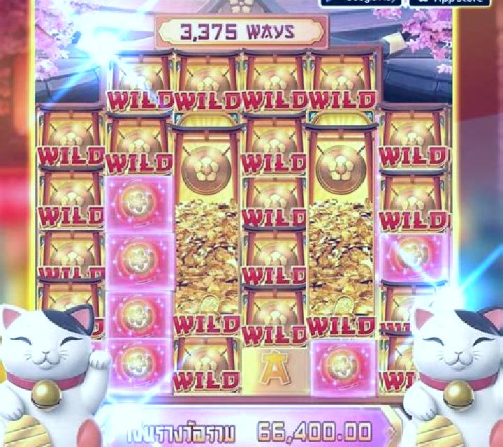 Castle of Wicked Cat slot game