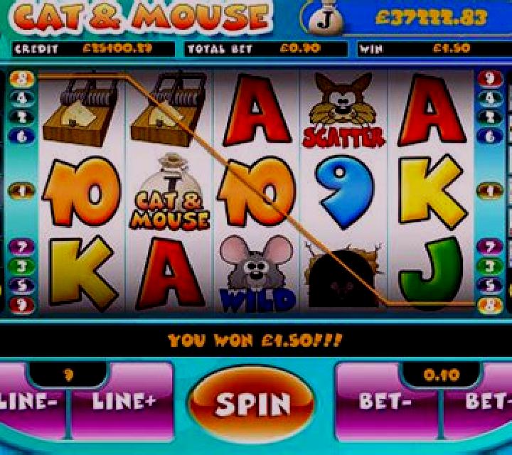 Cat and Mouse slot