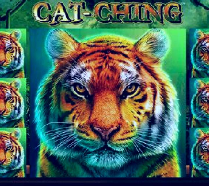 Cat-Ching slot game