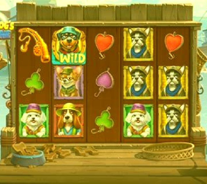 Cat Fisher Fortune slot game