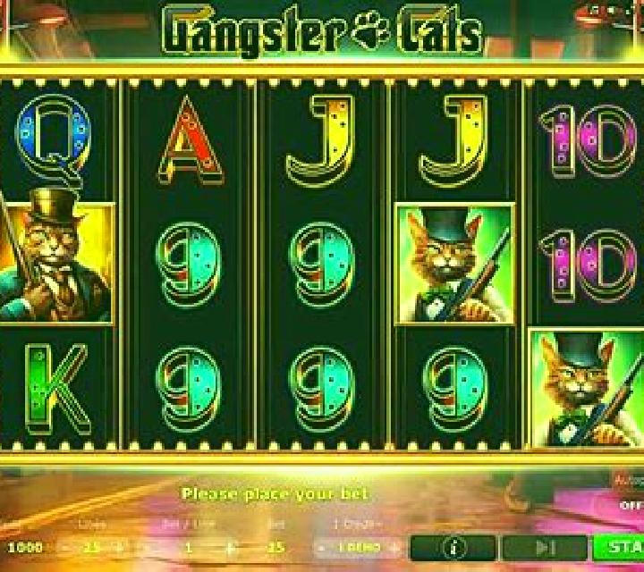 Cat Gangster slot game