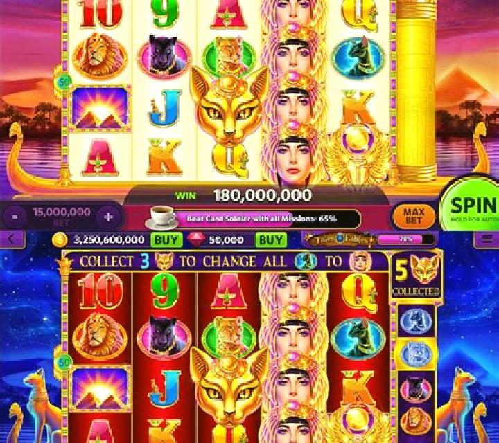 Cat Queen (CT) slot machine