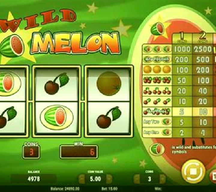 Catch-A-Melon slot game