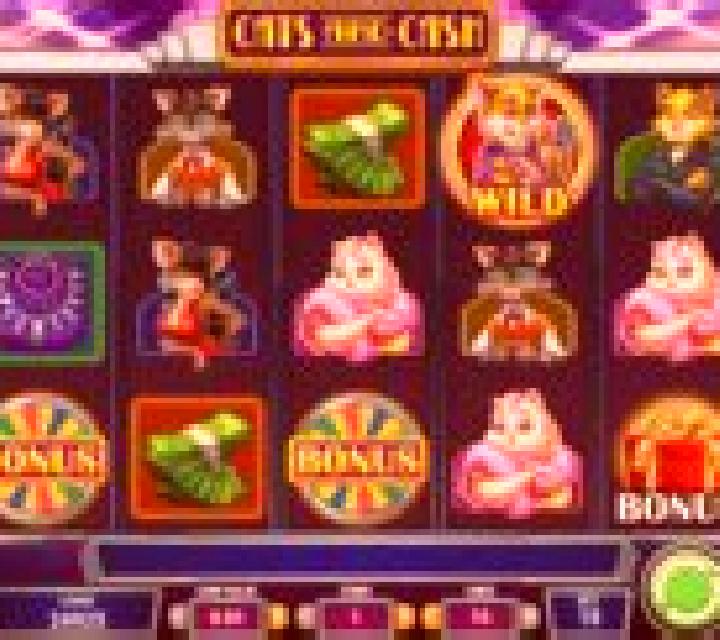 Cats and Cash online slot