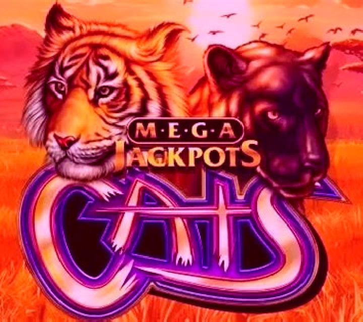 Cats MegaJackpots online slot