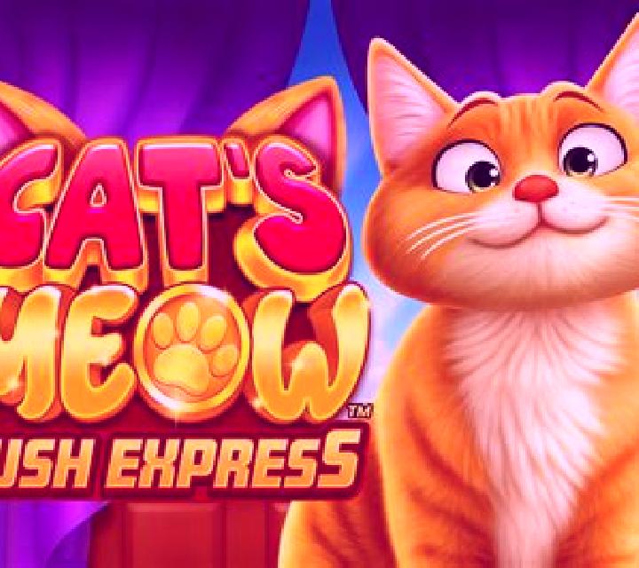 Cat’s Meow Rush Express online slot