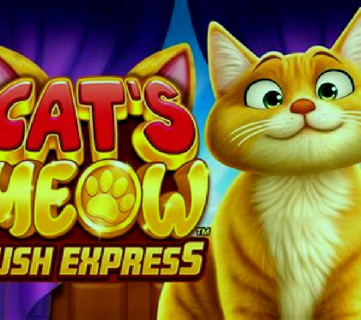 Cat’s Meow Rush Express slot game