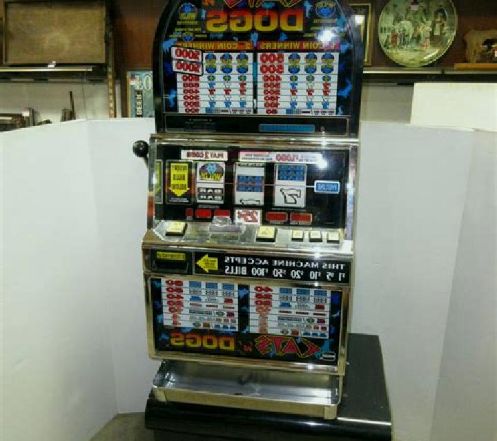 Cats N Dogs slot machine