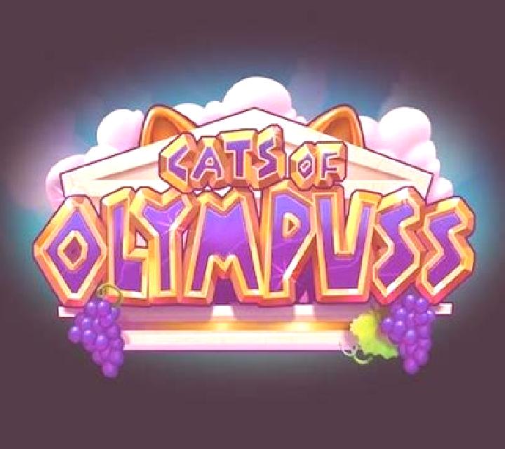 Cats of Olympuss slot game