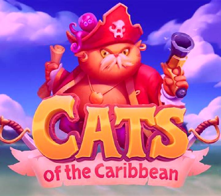 Cats of the Caribbean slot game