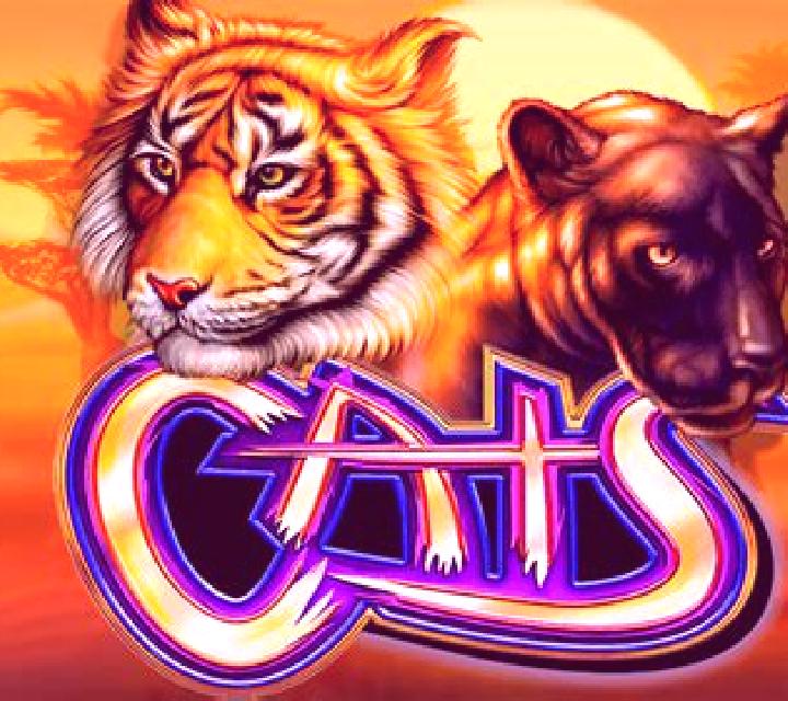 Cats slot game