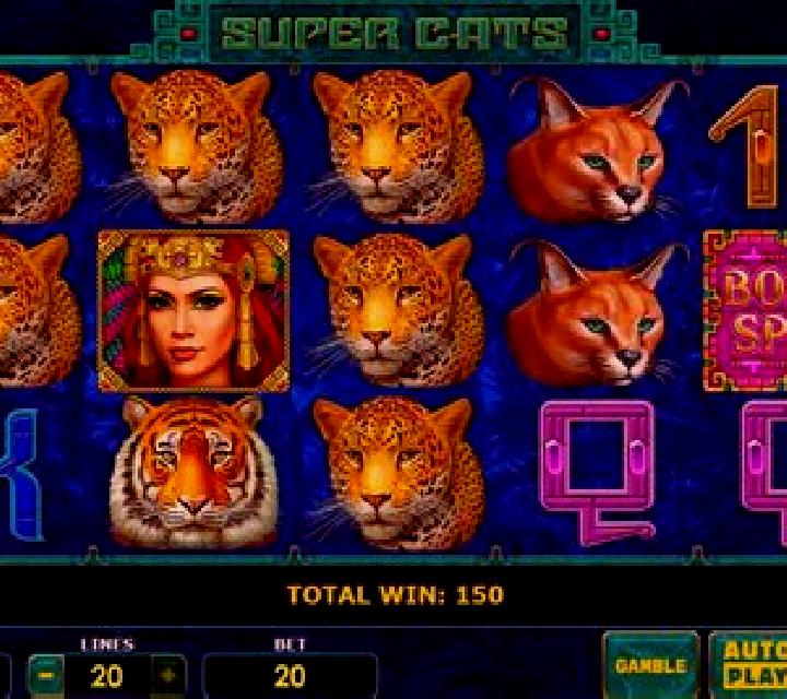 Cats slot