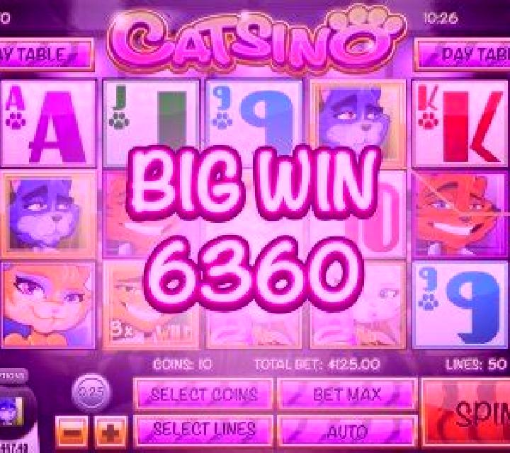 Catsino online slot