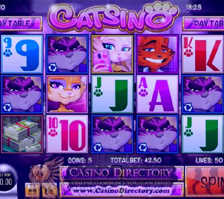 Catsino slot game
