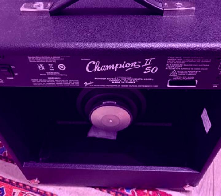 Champion II slot