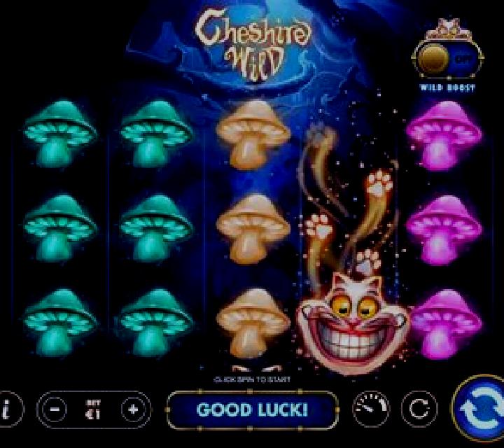 Cheshire Wild slot