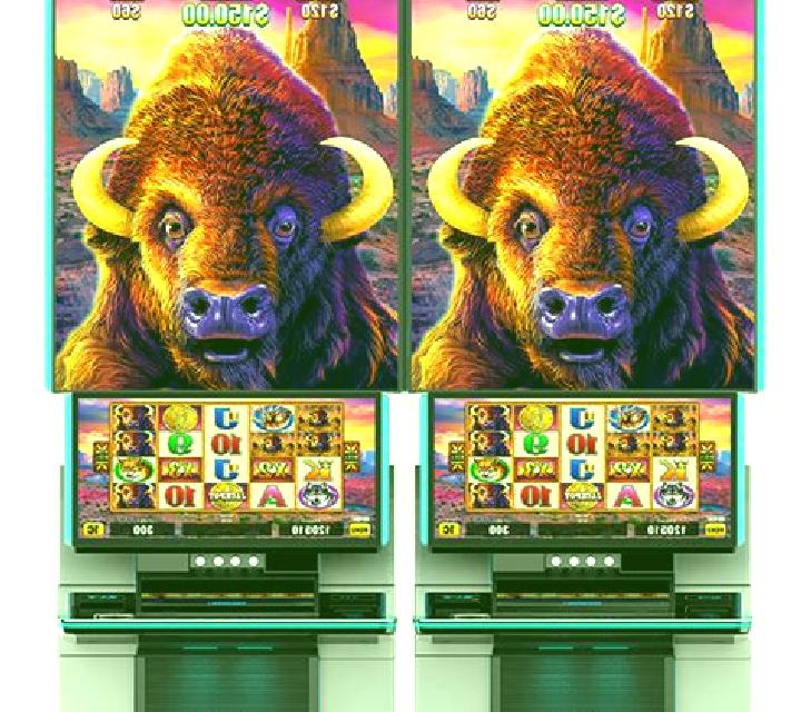 Chieftain Buffalo slot machine