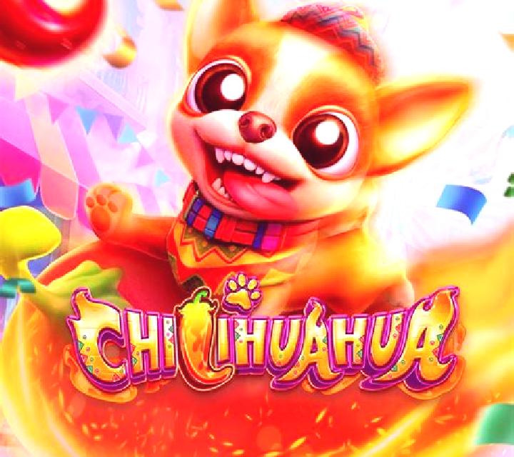 Chihuahua Party slot game