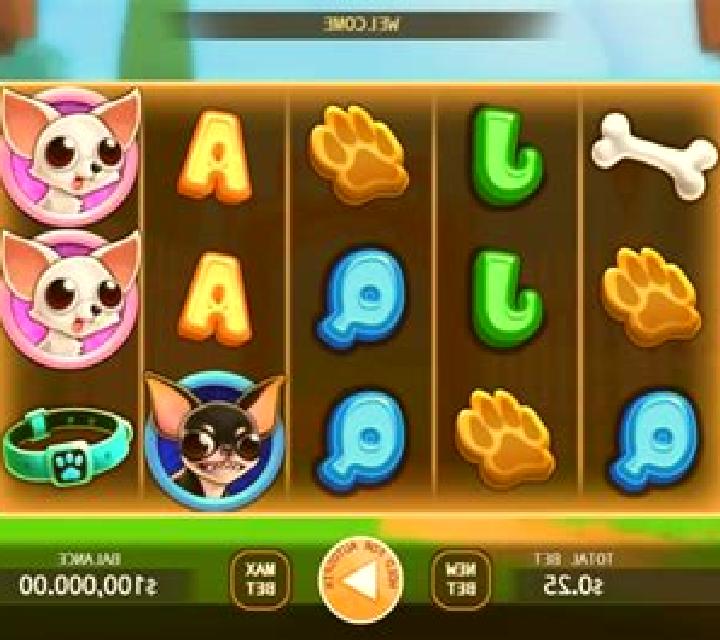 Chihuahua Party slot