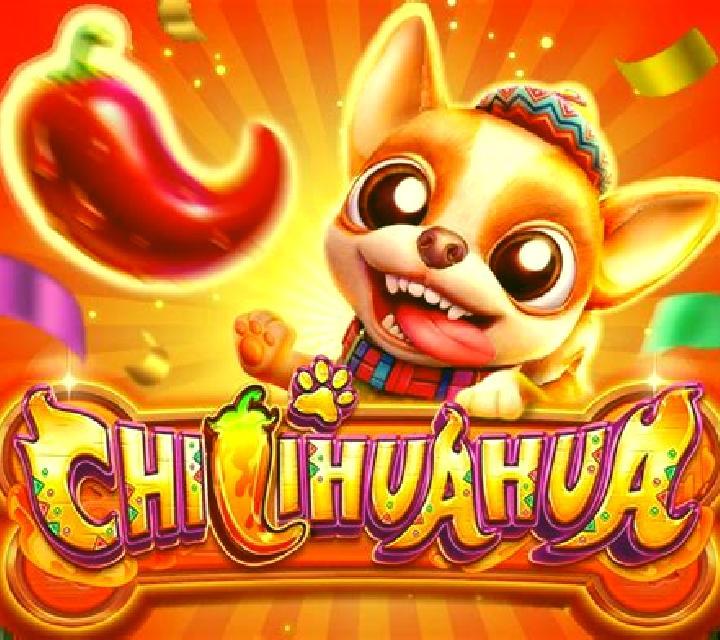 Chilihuahua slot