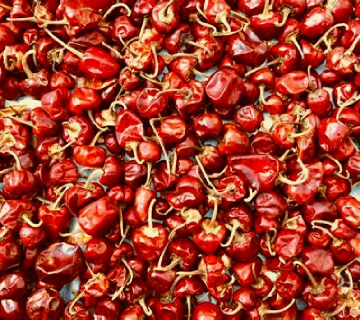 Chillies In Red slot