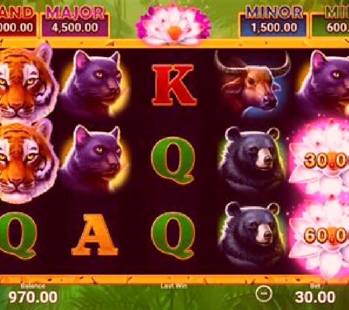 Chilling Tiger online slot