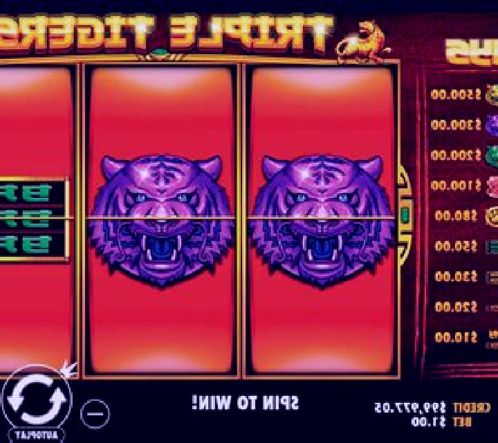 Chinese Tigers slot machine